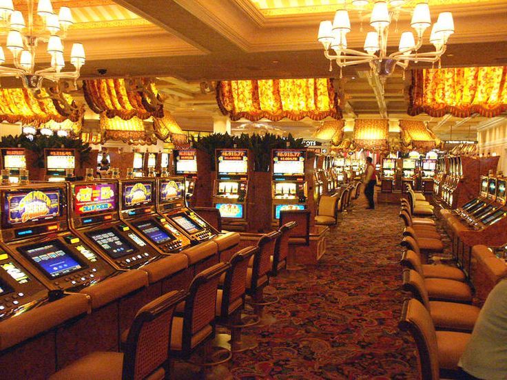 Daman Game Login Live Betting